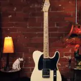 Mario Martin "Model T" Electric Guitar - Relic'd  Nocaster Finish & Fralin Pickups!