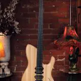 Dragonfly B6 KUSUNOKI - Amazing Bass VI, NAMM Demo Model!