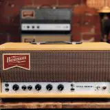Benson Tall Bird Reverb Plus - Reverb and Optical Tremolo In Aged Tweed! 1 of 3 We have!