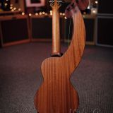 aNueNue Harp Ukulele III E w/Custom Hardshell Case – Mint Condition!