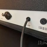 Blankenship Amp Head  in an Authentic  Signed Kerry Wright Headshell – In Black Tolex