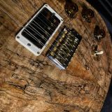 PRS ‘DGT’ Private Stock – David Grissom Model with Spalted Maple Top – Minty ! Un-Played Collector