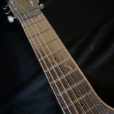 Rickenbacker 1937 Silver Hawaiian Lapsteel Guitar