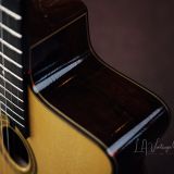 Stringphonic 2018 “Advanced” Limited Edition – Django Style Guitar – Lyle Workman Collection