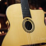 Stringphonic 2018 “Advanced” Limited Edition – Django Style Guitar – Lyle Workman Collection