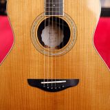 Josh Williams Acoustic Guitar-OM Signature Series-Torrefied Adirondack Spruce Top & Mun Ebony Back & Sides