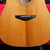 Josh Williams Acoustic Guitar –  Dreadnought Signature Series – Torrefied Adirondack Spruce Top