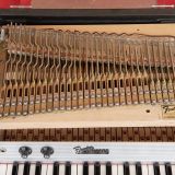 1971 Silver Top Fender Rhodes Piano Bass