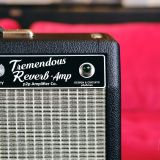 “Tremendous Reverb” 1×12 Combo by P2P Amplifiers – Princeton Style Amp with a 12″ Celestion Gold