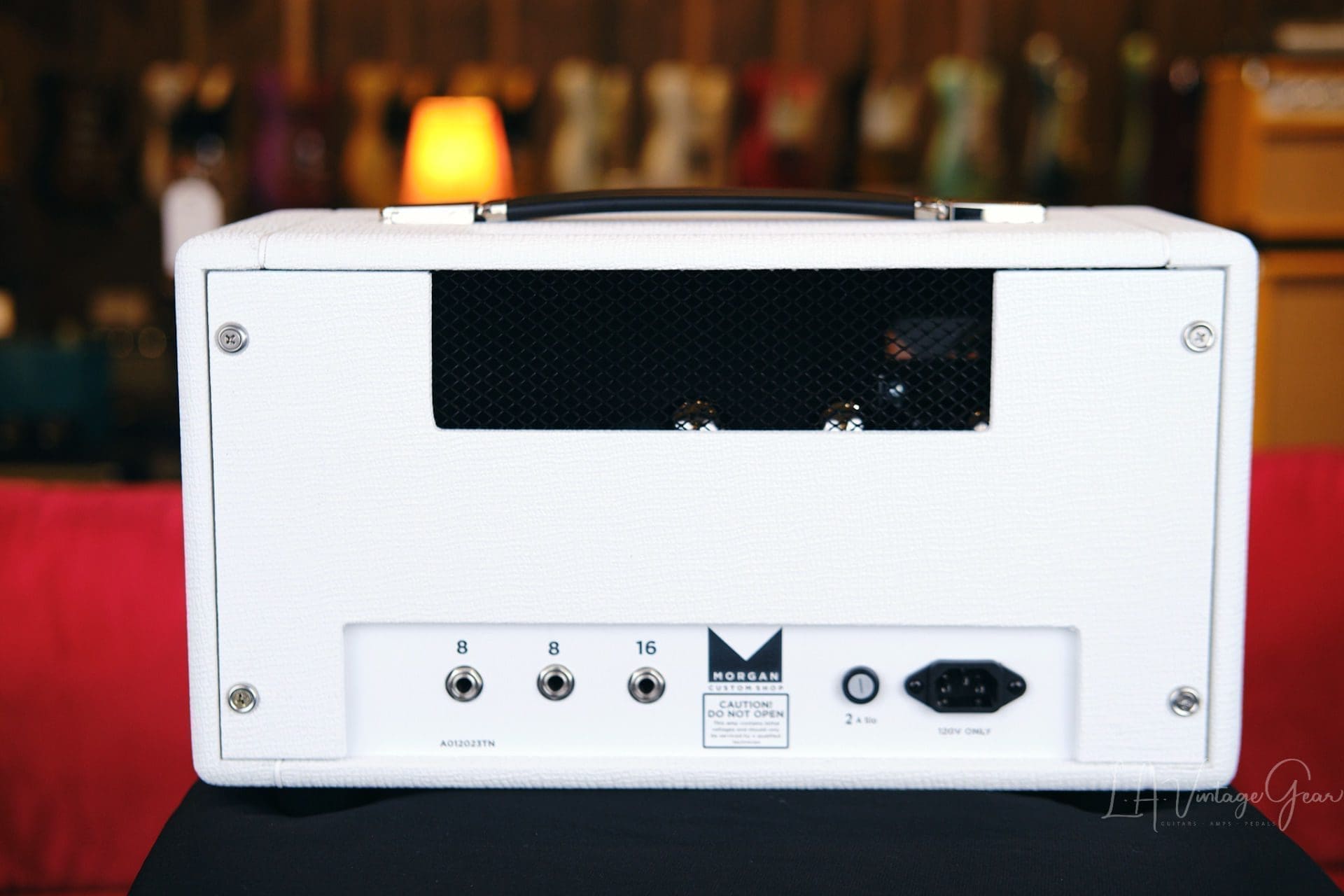 Morgan ML22 22 Watt Guitar Amp Head in White Tolex - Brand New! • LA ...