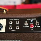 Magnatone Panoramic 2×10 Combo Guitar Amplifier-Pre Owned in Excellent Condition!