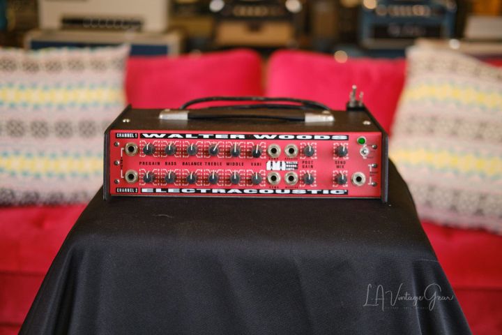 Walter Woods MI-200-8 Electracoustic Bass Amp - Recently Serviced by Valley  Sound - Green Power Light! • LA Vintage Gear