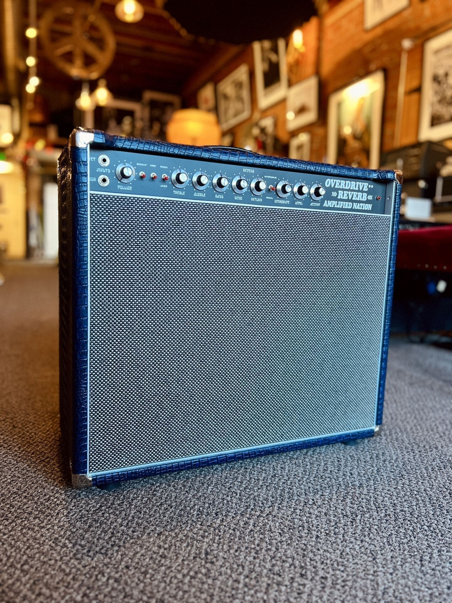 Amplified Nation Overdrive Reverb 50 Watt Combo - Blue Crocodile