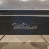 1974 Fender Rhodes Stage 73 – Collector Clean!