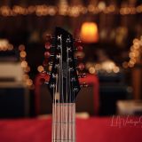 Veillette Baritone 12-String Acoustic – From the Collection of Colin Hay!