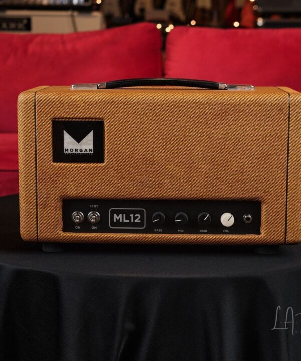 Morgan ML12 Head - Used By Mike Landau With James Taylor!