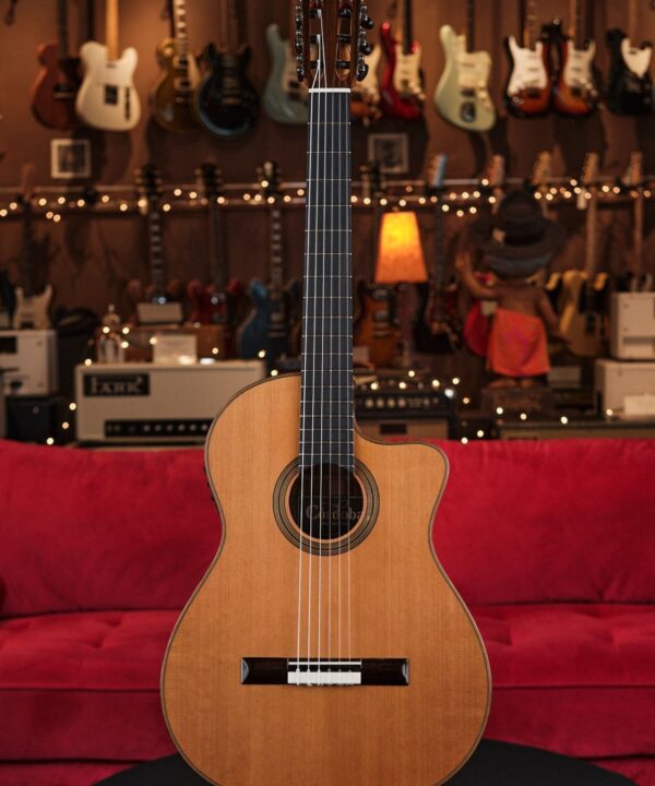 Cordoba Fusion Orchestra CE - With Fishman Presys!