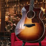 Taylor 214ce – Beautiful Walnut Back and Sides!