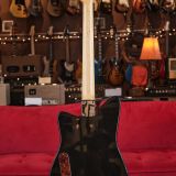 Versoul Raya 6 Custom Electric Solid Body Guitar #0472 – In Gold Leaf 23 carat finished Top and Headstock! Namm Demo!