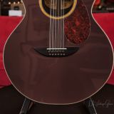 Versoul Buxom Minor 12 String Acoustic Guitar #0639 – With True Temperament Fingerboard!