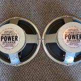 PAIR Fane Sound City Pulsonic Cone Speakers