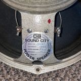 PAIR Fane Sound City Pulsonic Cone Speakers