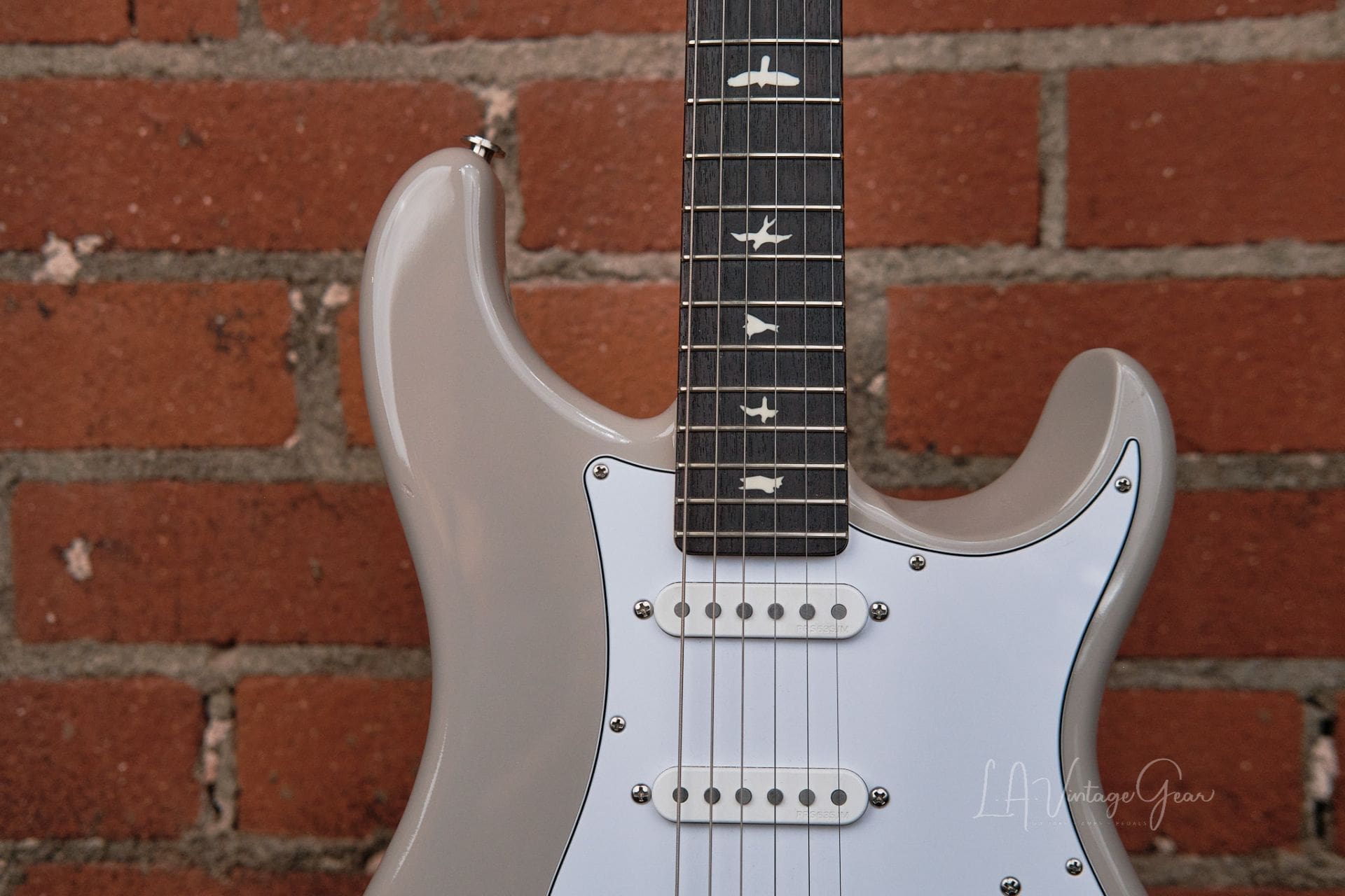 PRS Silver Sky - In Moc Sand! - Image 3