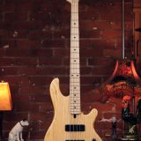 Lakland Skyline 44-01 – Great Active 4 String!