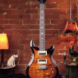 PRS SE Custom 24 – In A Black Gold Finish!