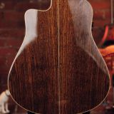 Seagull Artist Series Studio CW – With LR Braggs Element II