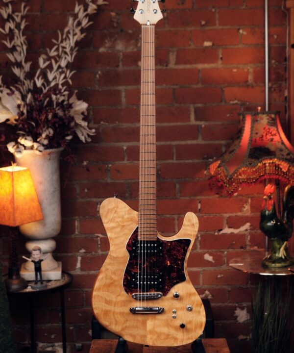 Dragon Fly Border B6 Custom - Great Bass VI!