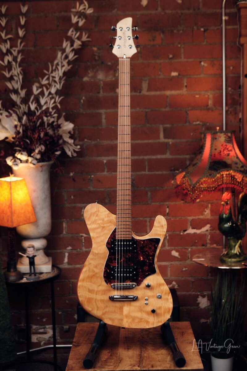 Dragon Fly Border B6 Custom - Great Bass VI!