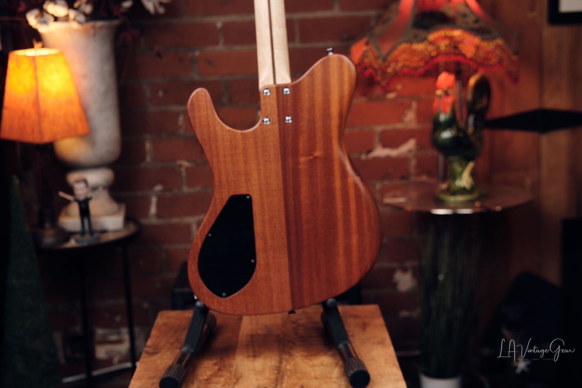 Dragon Fly Border B6 Custom - Great Bass VI! - Image 6