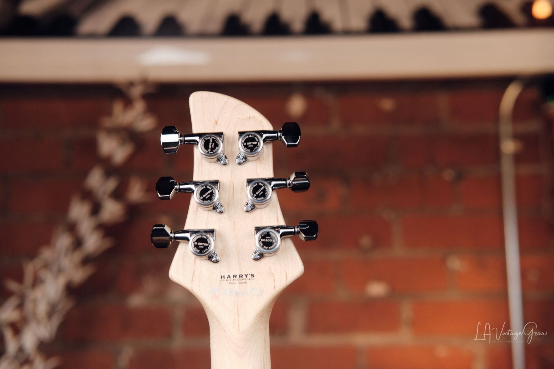 Dragon Fly Border B6 Custom - Great Bass VI! - Image 7