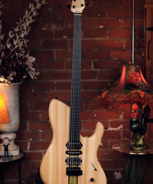 Dragonfly B6 KUSUNOKI - Amazing Bass VI, NAMM Demo Model!