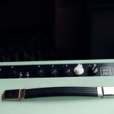 Morgan Custom Shop SW22R – Great 22 Watt Combo!