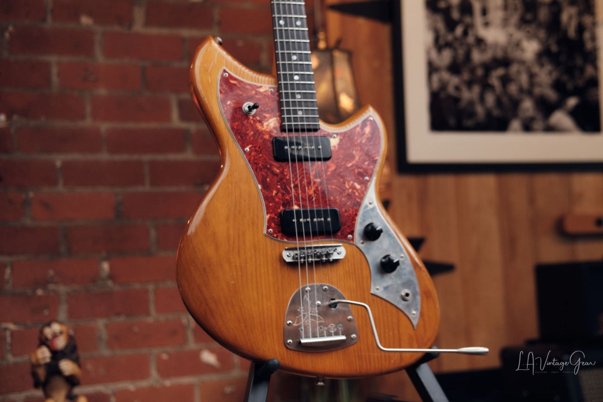 Novo Nucleus Serus J - Amber and Tortoise Shell! - Image 4
