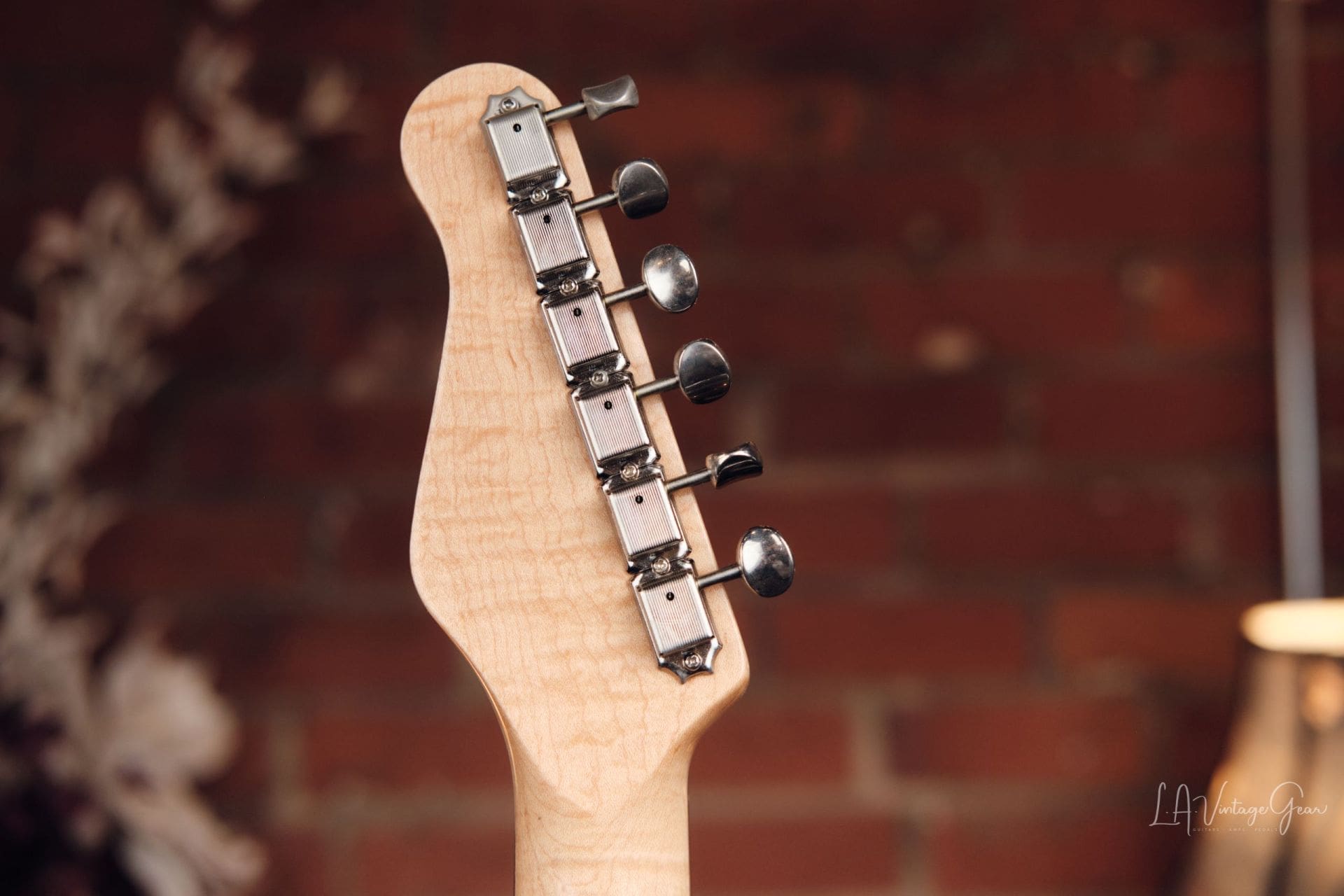 ギター Carruthers Guitars ACS Model Guitars | Carruthers Guitars