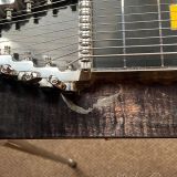 Williams SD-12 Pedal Steel Guitar – With Road Case!
