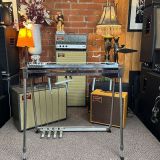 Williams SD-12 Pedal Steel Guitar – With Road Case!