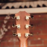 Taylor XX-MC Acoustic Guitar – 20th Anniversary #122 of 250!
