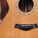 Taylor XX-MC Acoustic Guitar – 20th Anniversary #122 of 250!