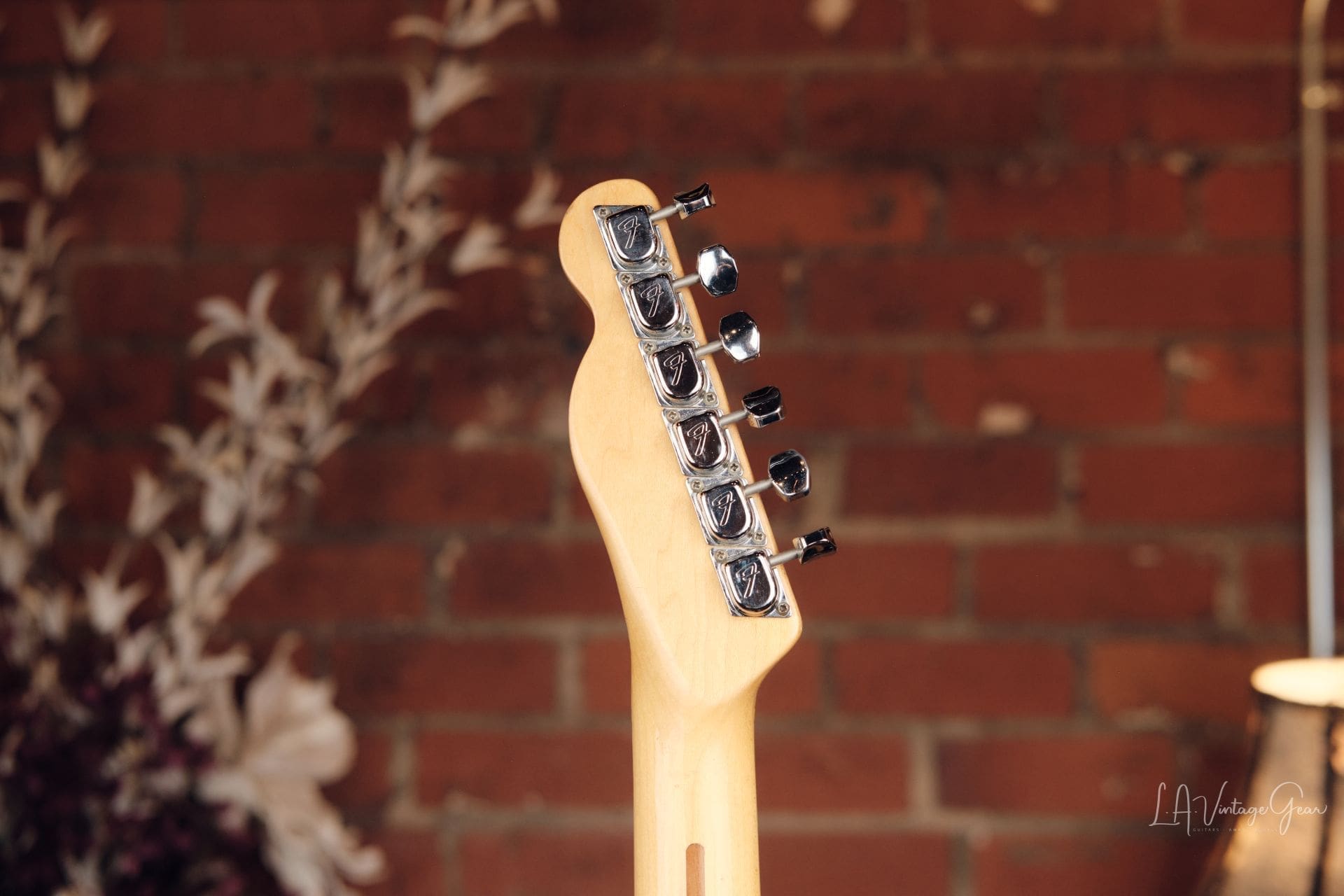 1971 Fender Telecaster Thinline - Mahogany Body - Image 17