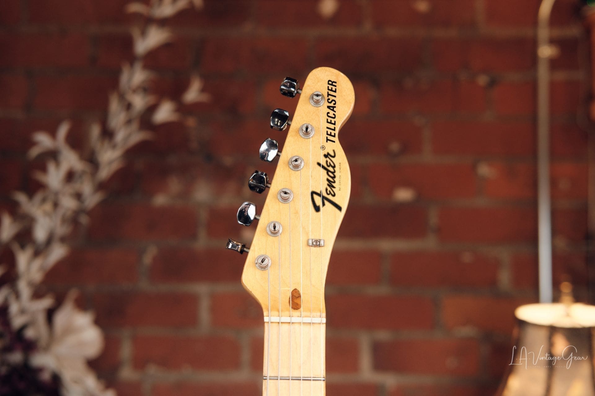 1971 Fender Telecaster Thinline - Mahogany Body - Image 9
