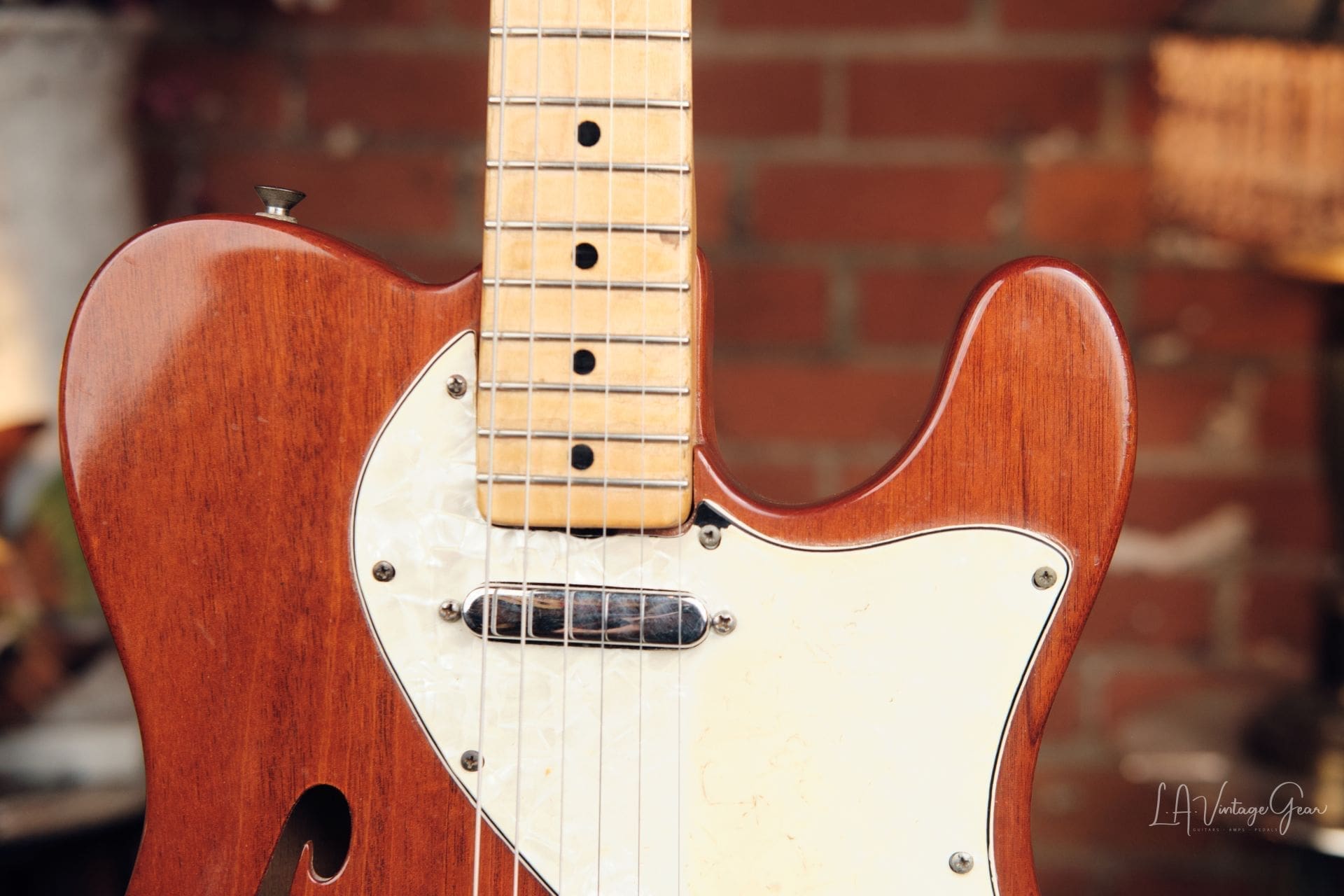 1971 Fender Telecaster Thinline - Mahogany Body - Image 7