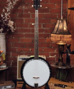 Harmony 5 String Banjo – Cool Vintage Banjo!