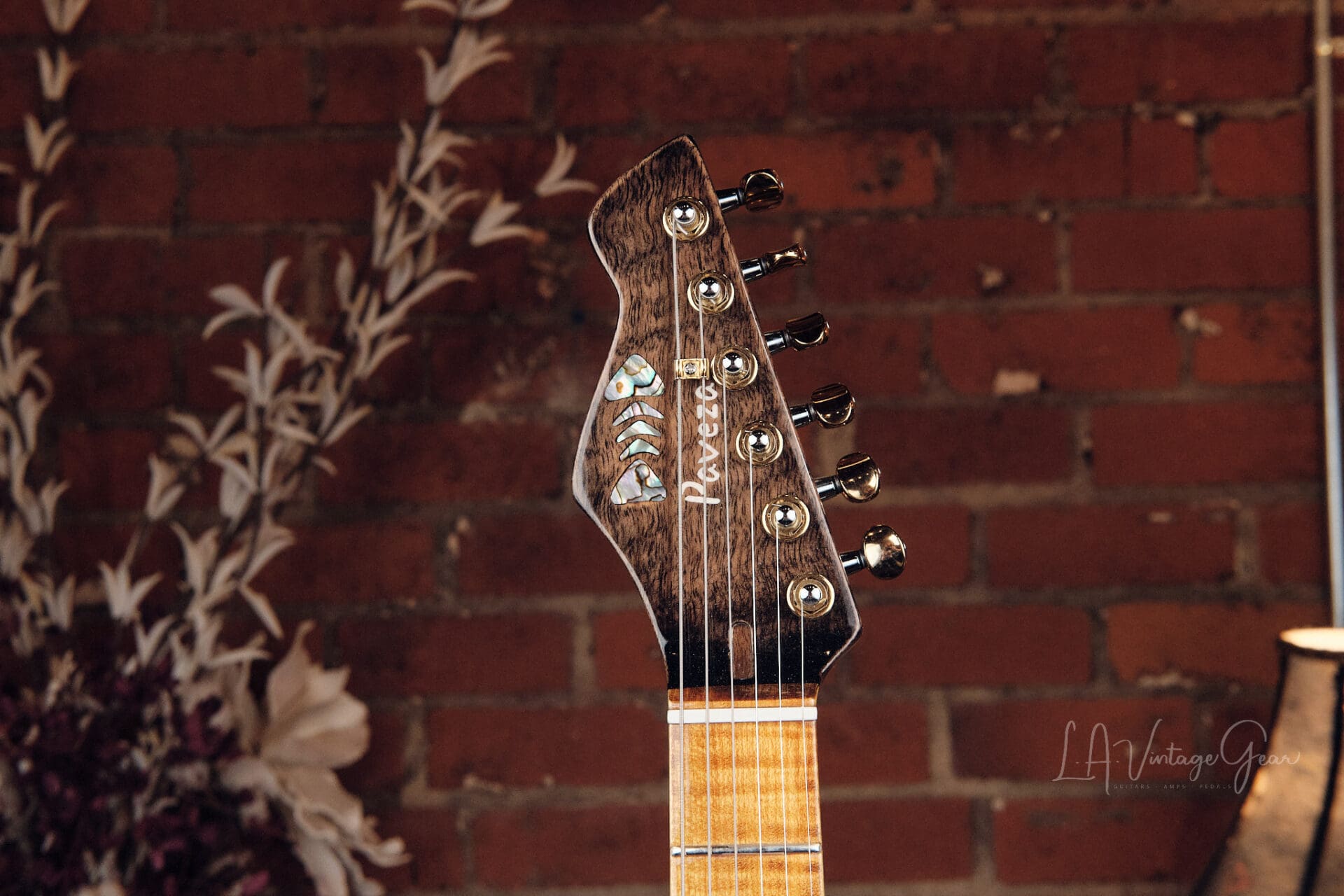 Paveza Guitars Drake - Namm Show Demo Model! - Image 5