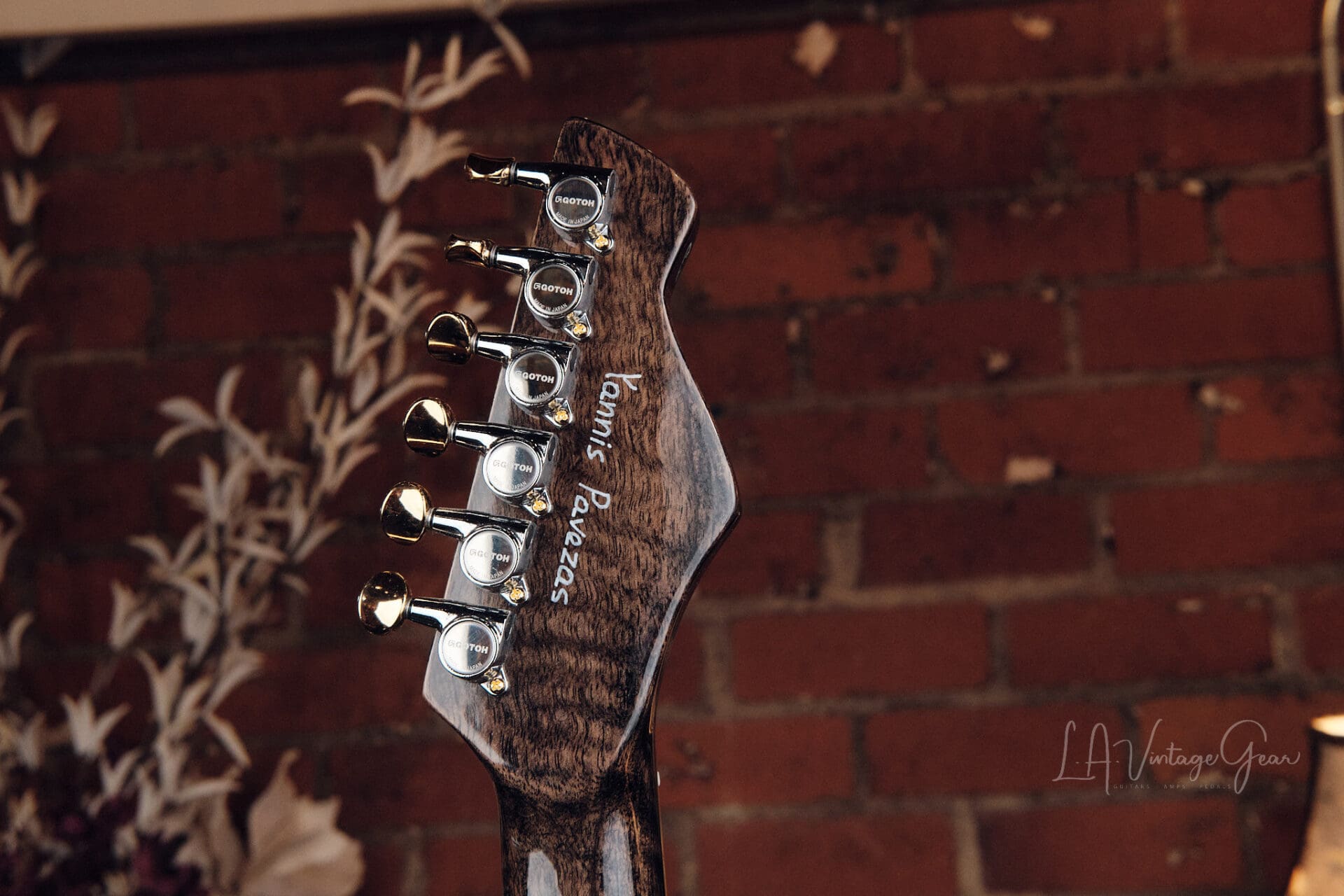 Paveza Guitars Drake - Namm Show Demo Model! - Image 8