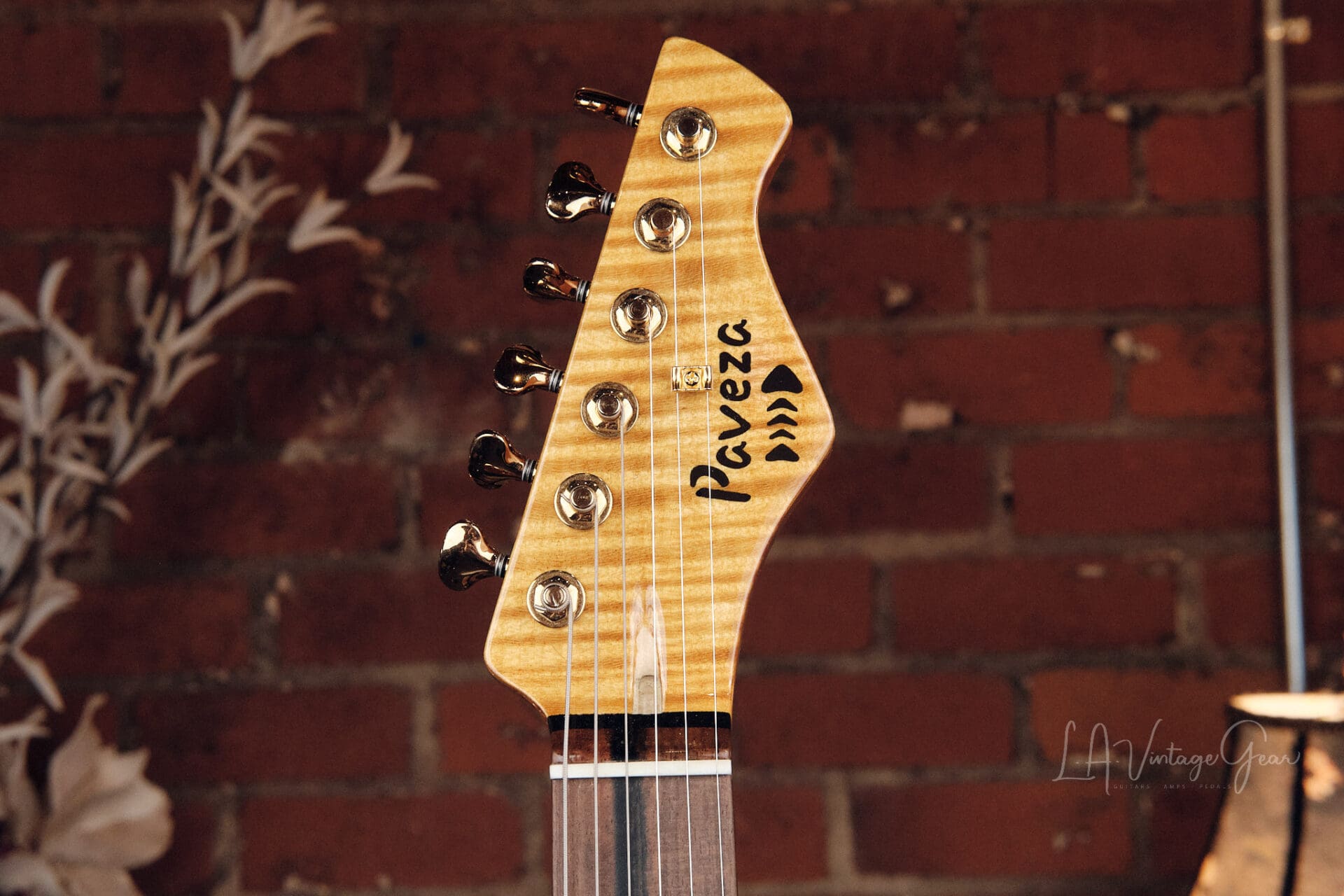 Paveza Guitars Midas - NAMM Show Demo! - Image 5