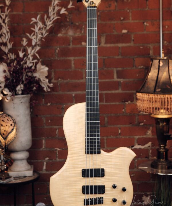 Human Base ClassX 5 String Bass - Awesome Single Cut!